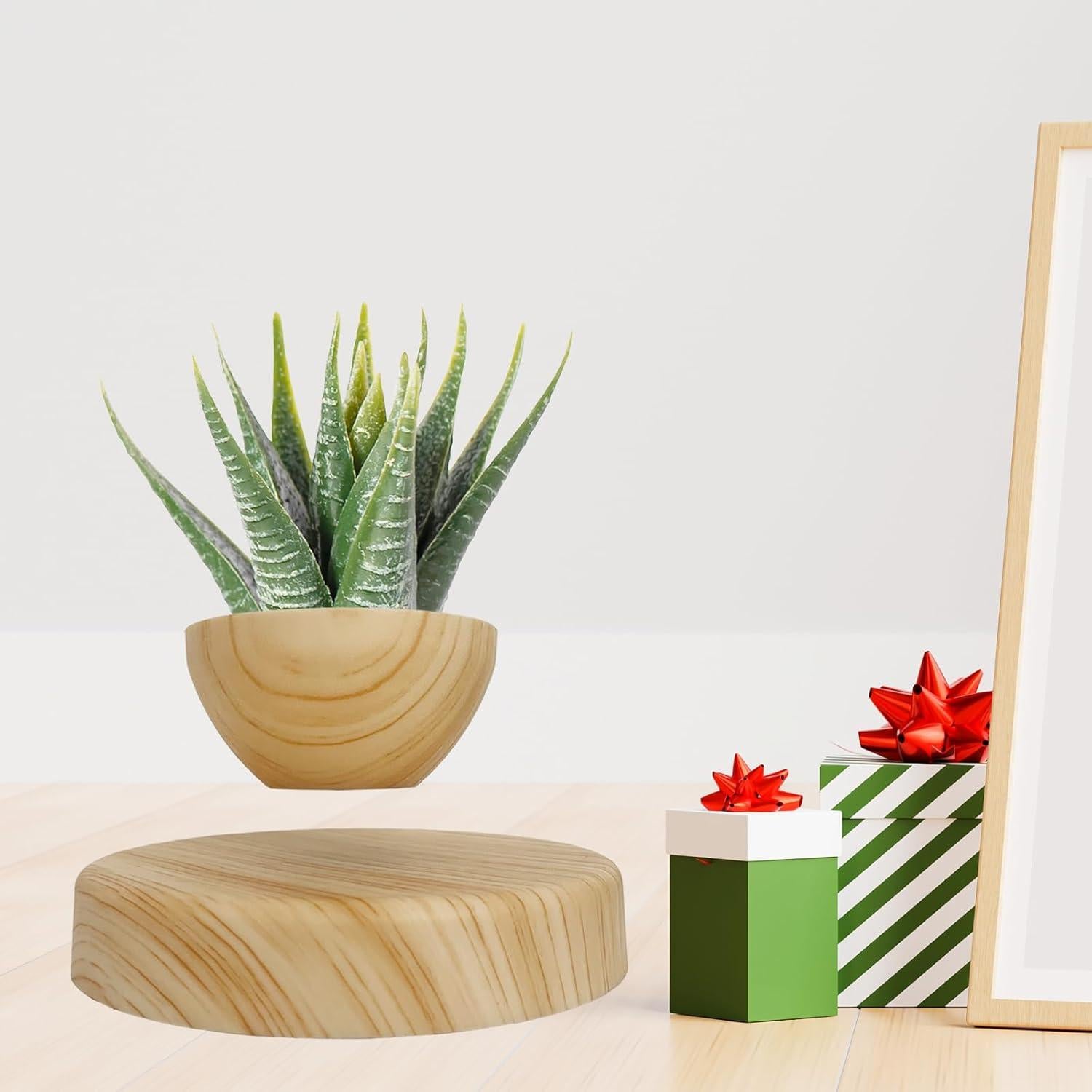 Maceta Flotante Magnética FLYSWITCH 18cm para Suculentas