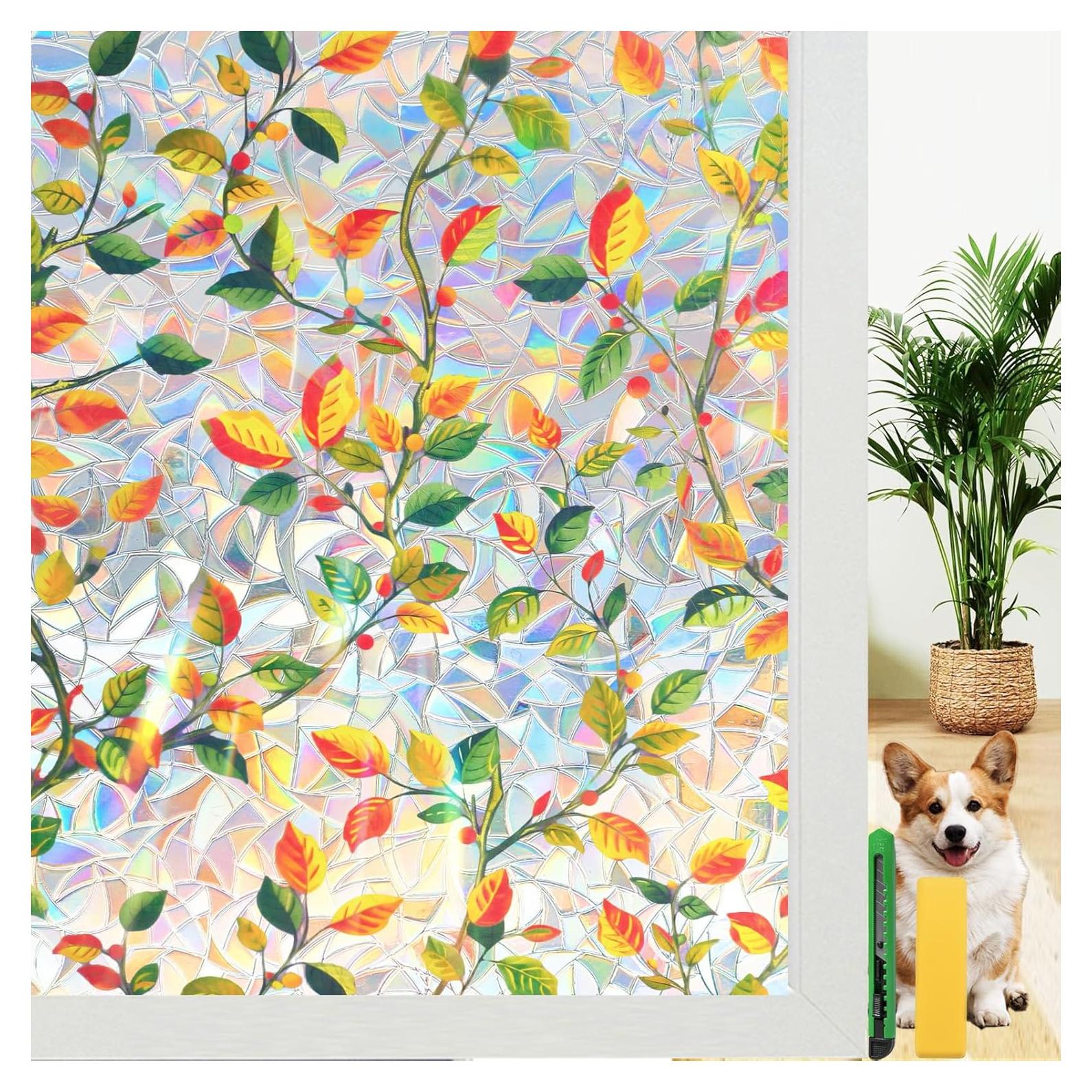 Película de Privacidad para Ventanas Carethos 30x200 cm Hoja