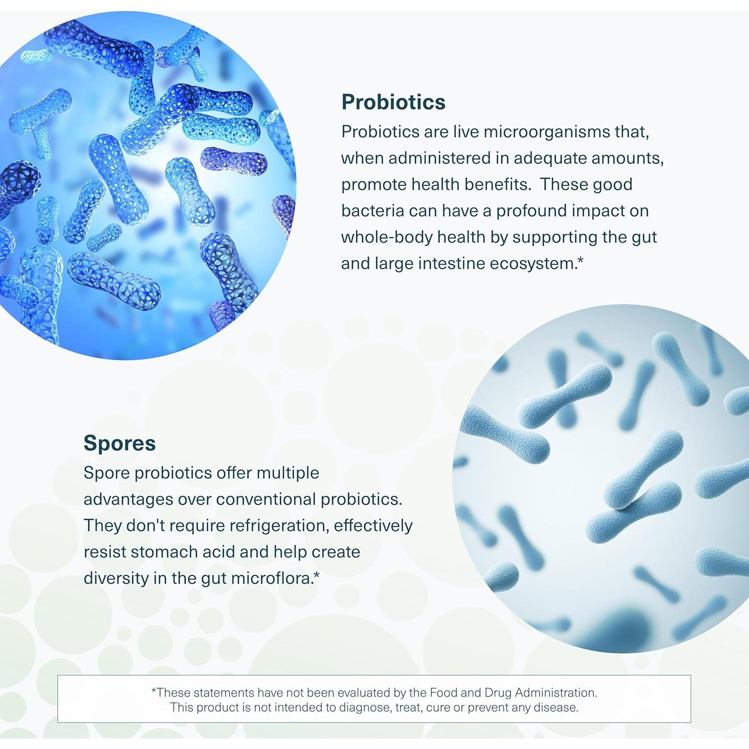 Youtheory Polvo Probiotico de Esporas 98g - Suplemento Vegano