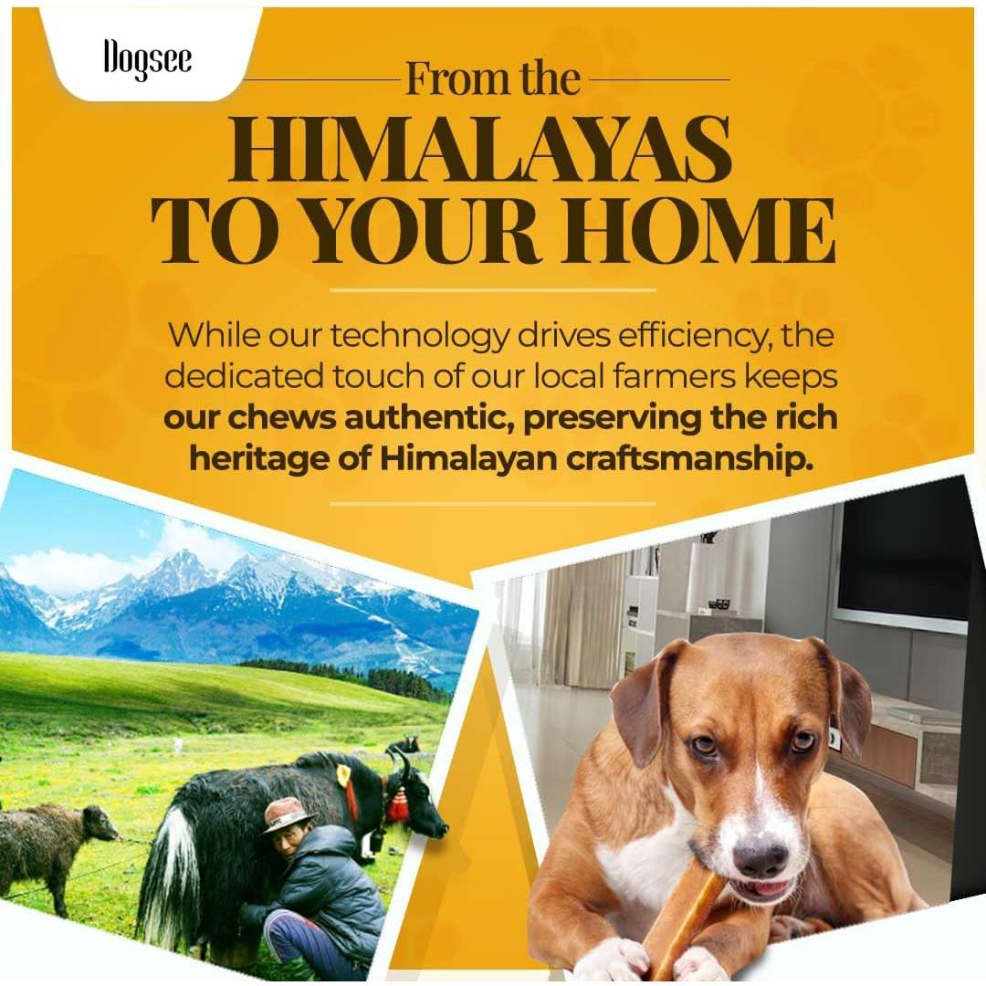 Dogsee Yak Chews para Perros Pequeños - 5 Barras 168g