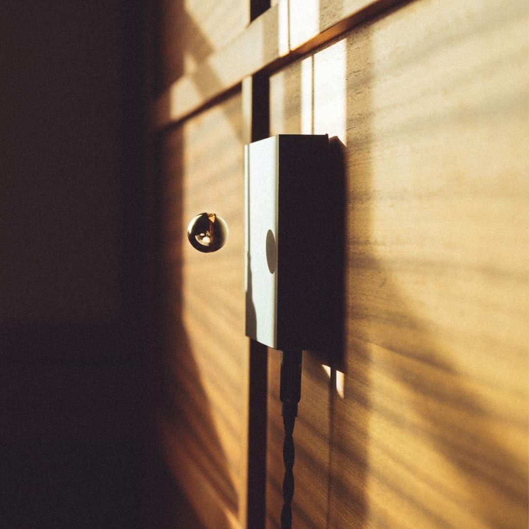 Buda Bola FLYTE Esfera Magnética Levitante Decorativa