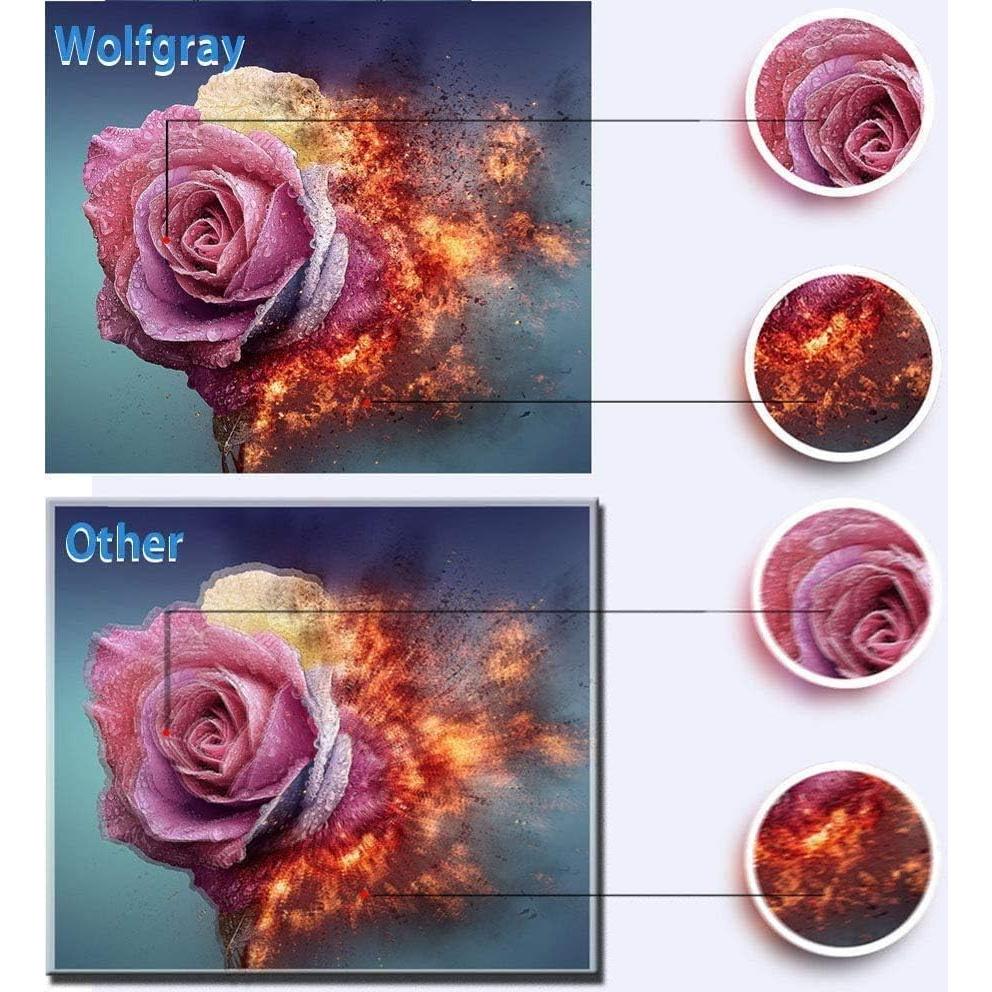 Cartuchos de tinta Wolfgray LC61 LC65 12 paquetes compatibles