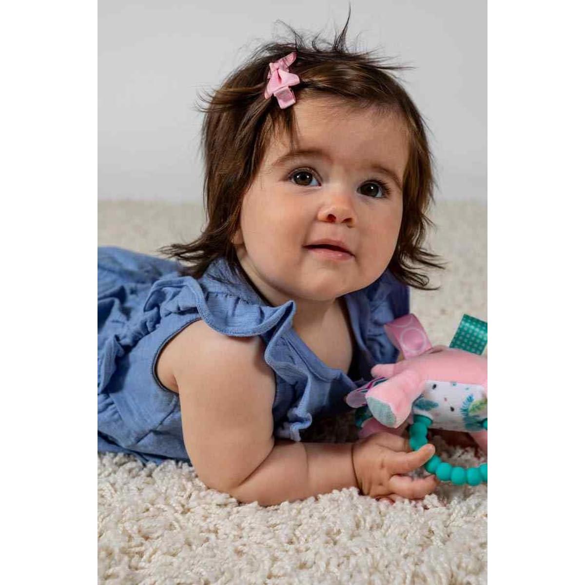 Sonajero y Mordedor Suave Taggies Aroar-a-saurus 15.24 cm