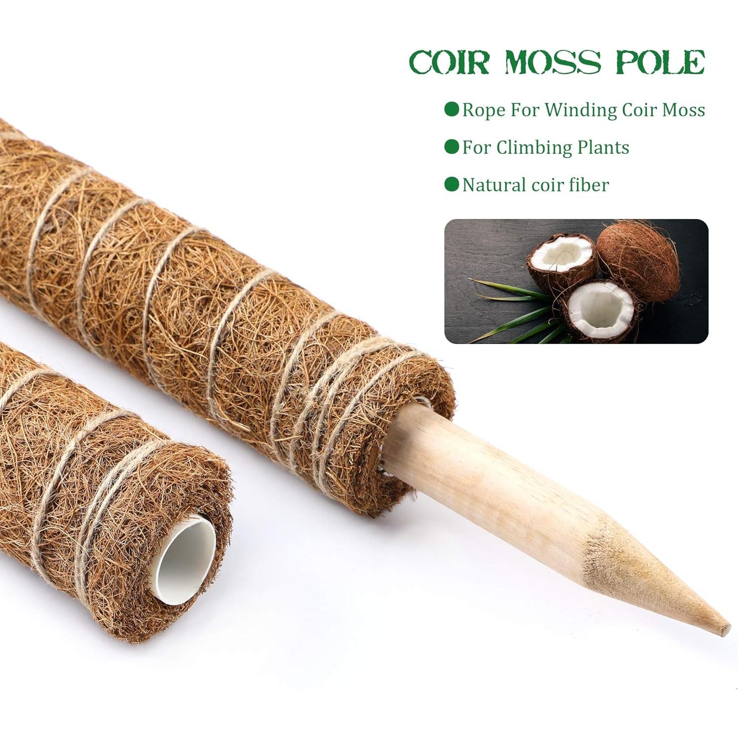 Poste de Musgo Augshy 50.8 cm Soporte para Plantas Trepadoras