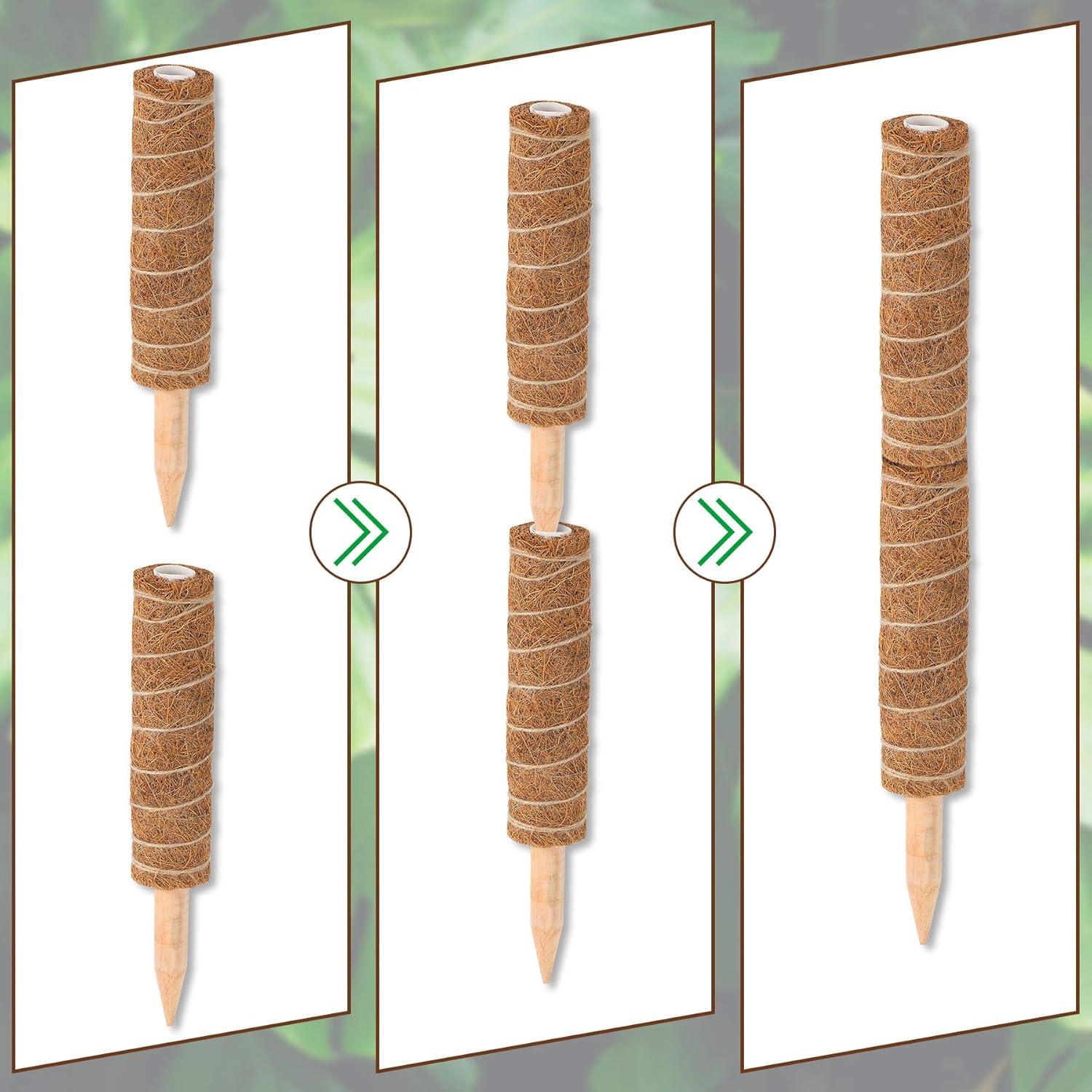 Poste de Musgo Augshy 50.8 cm Soporte para Plantas Trepadoras
