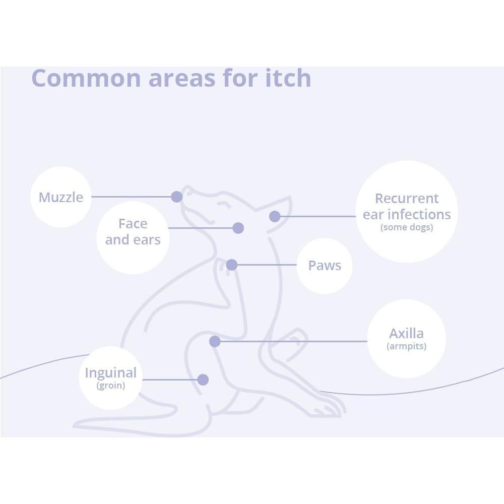 Champú TrizCHLOR 4 Dechra 227g para Perros y Gatos