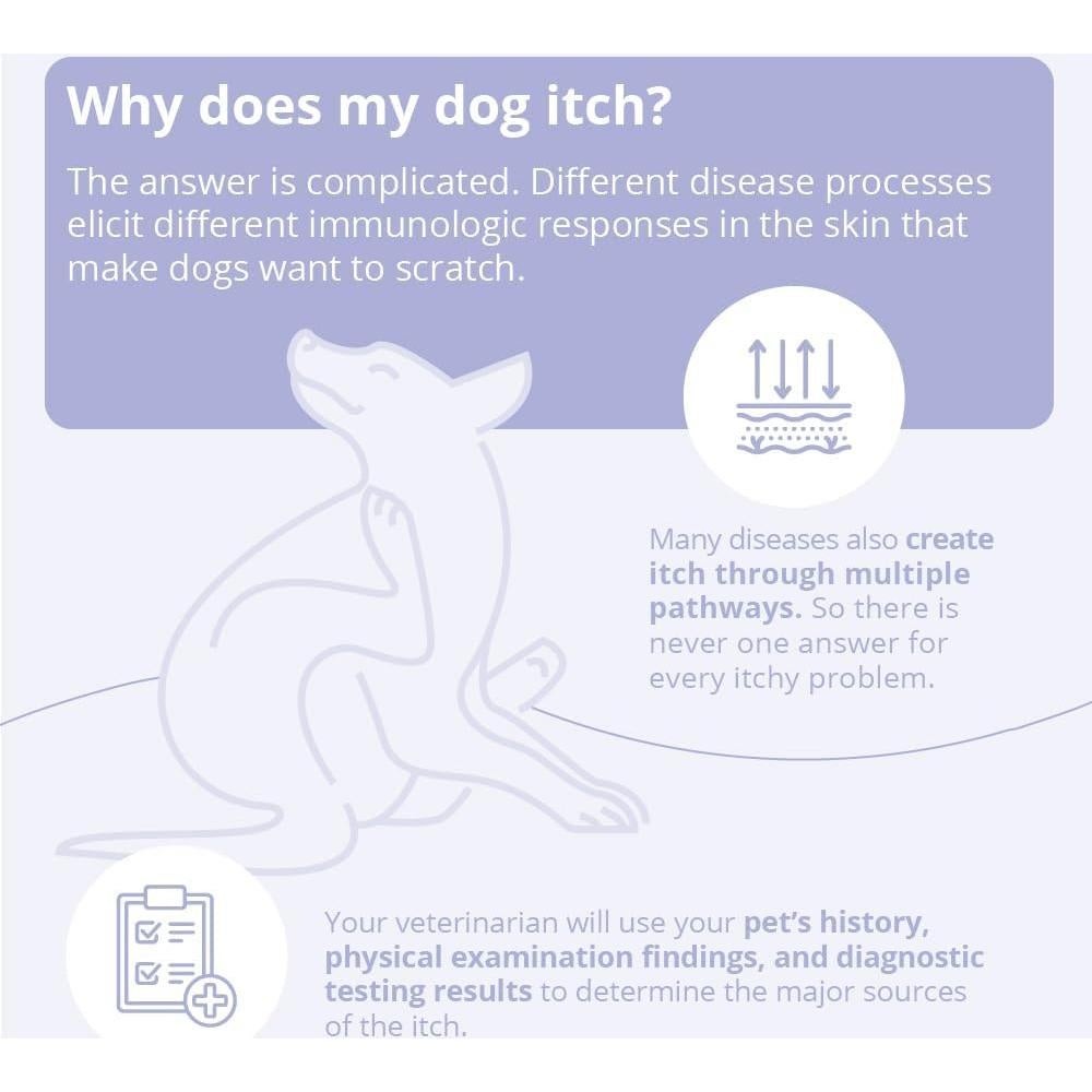 Champú TrizCHLOR 4 Dechra 227g para Perros y Gatos