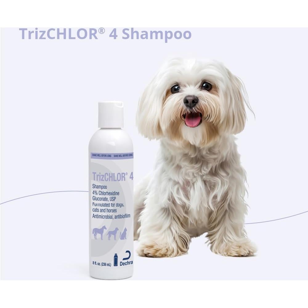 Champú TrizCHLOR 4 Dechra 227g para Perros y Gatos