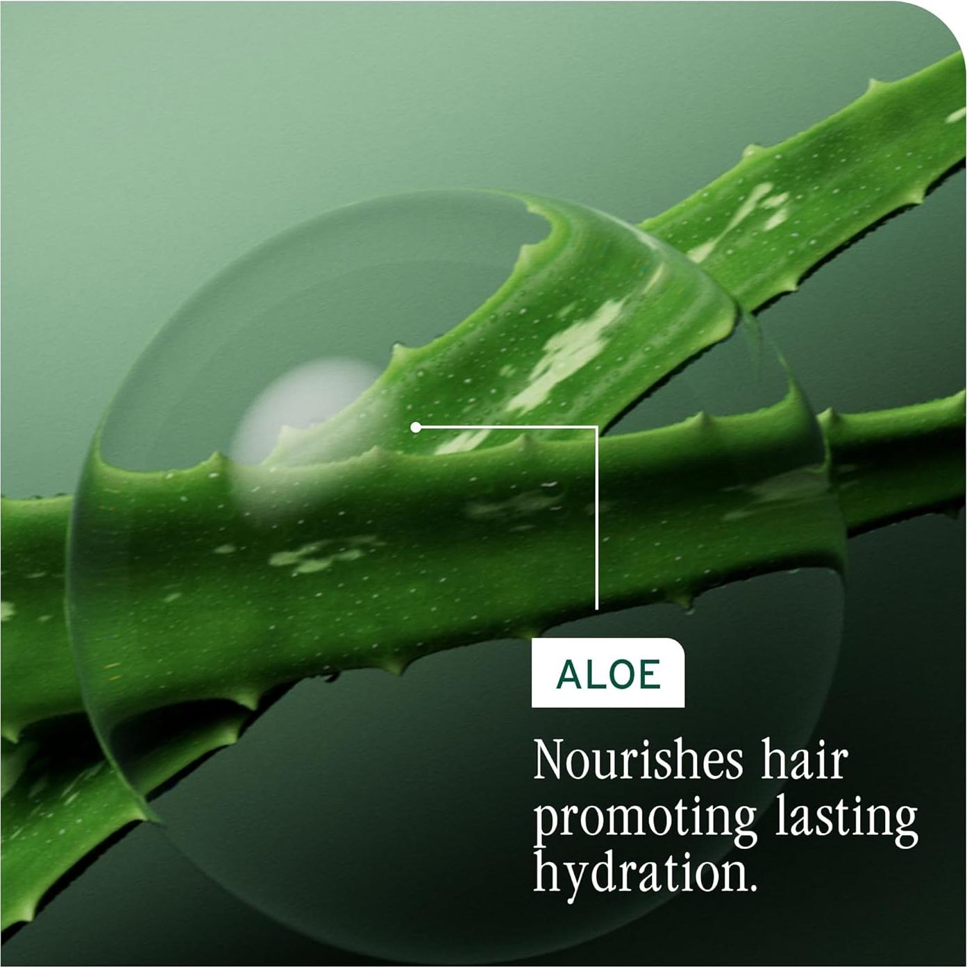 Conjunto Champú y Acondicionador Biolage Hydra Source 399.5 ml