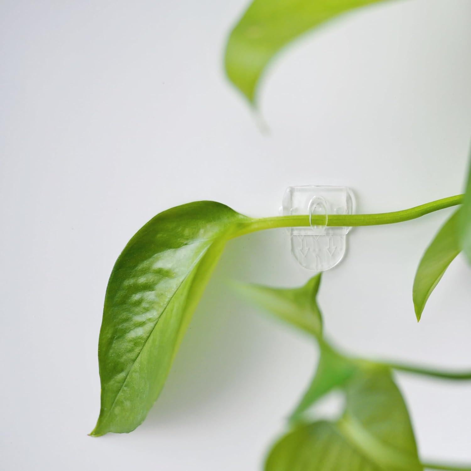 100 Clips Transparentes MOVELYST con 120 Tiras Adhesivas