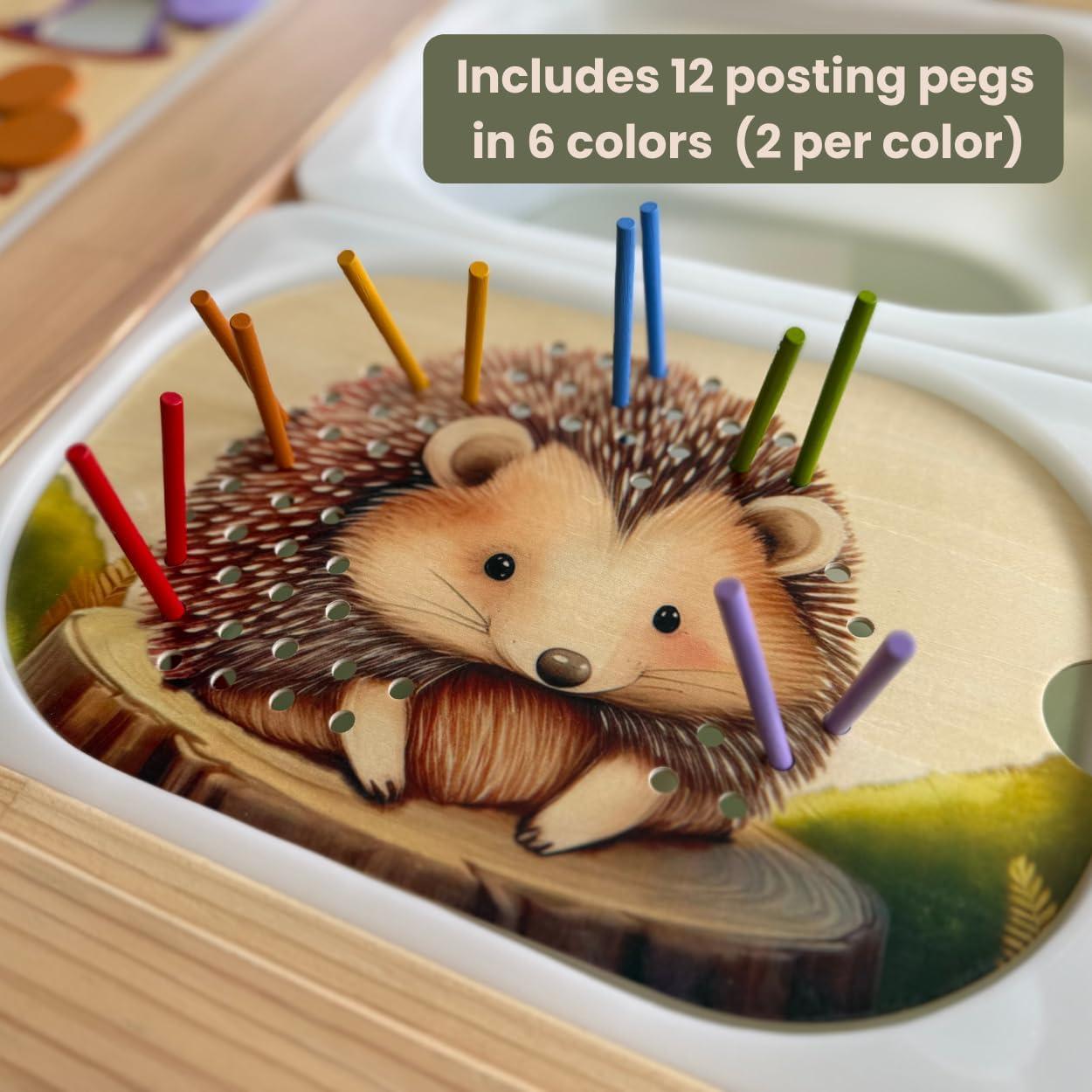 Insertos de Mesa Sensorial Flisat Nordic Cubs - 12 Palos y Monedas