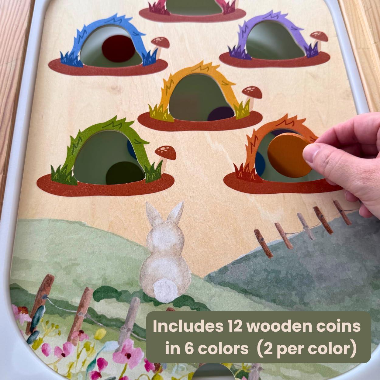 Insertos de Mesa Sensorial Flisat Nordic Cubs - 12 Palos y Monedas