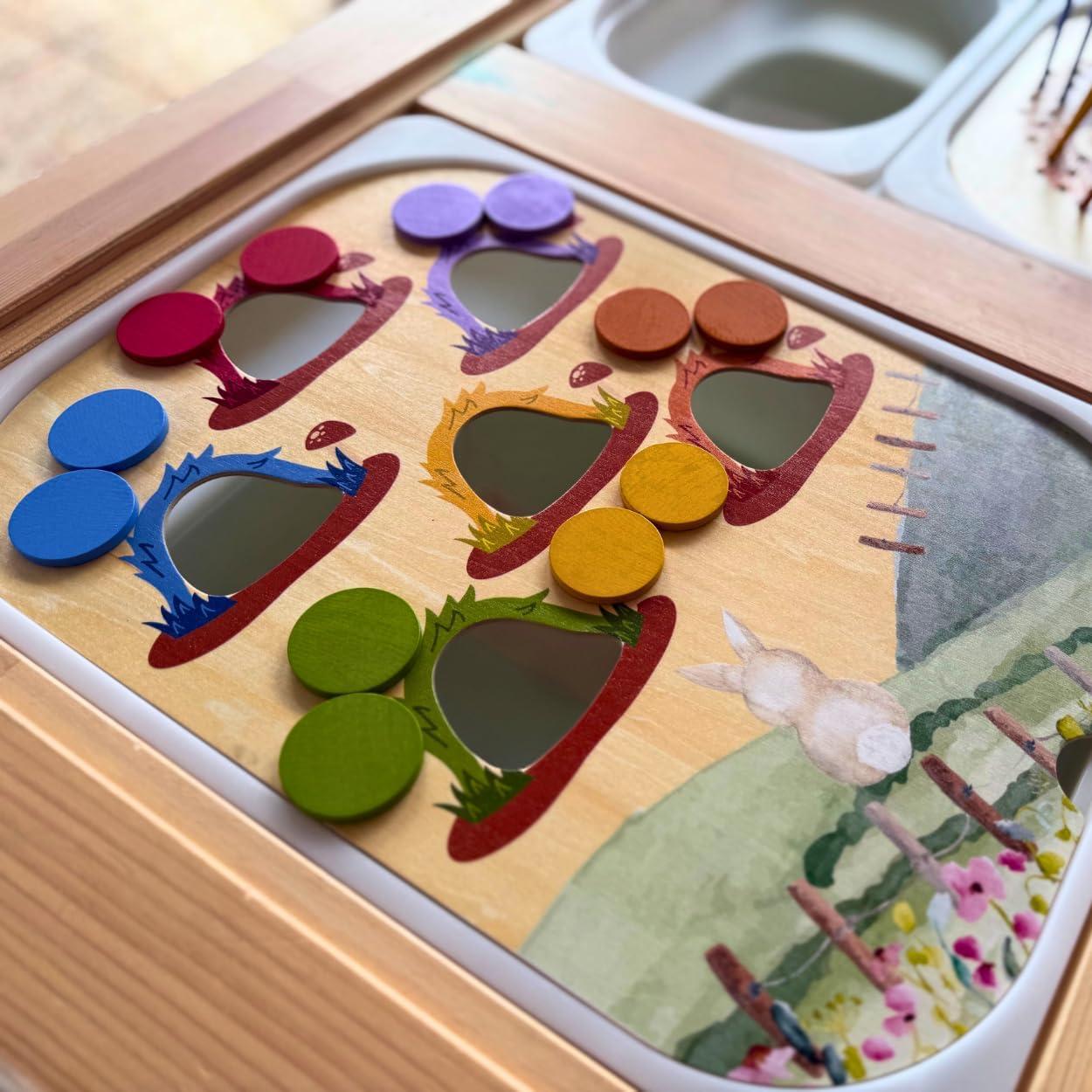 Insertos de Mesa Sensorial Flisat Nordic Cubs - 12 Palos y Monedas