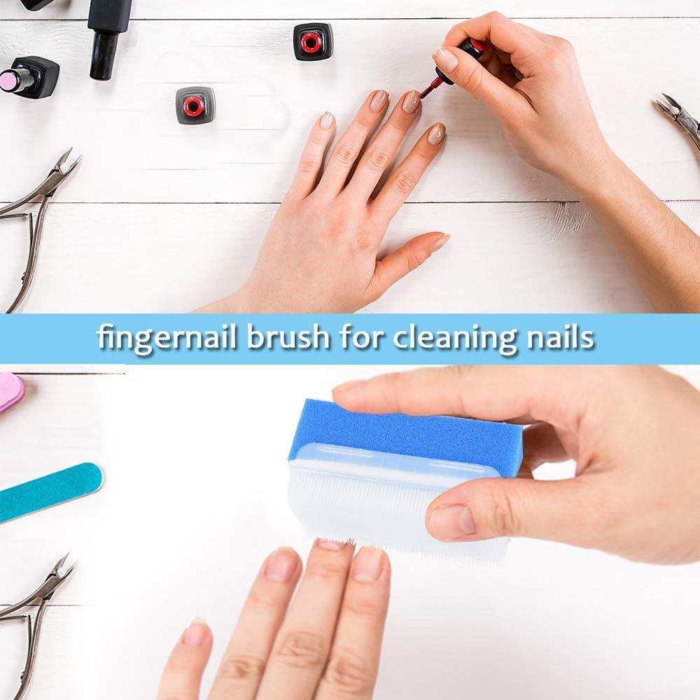 Esponjas de Exfoliación ARGOMAX - Paquete de 6 Unidades