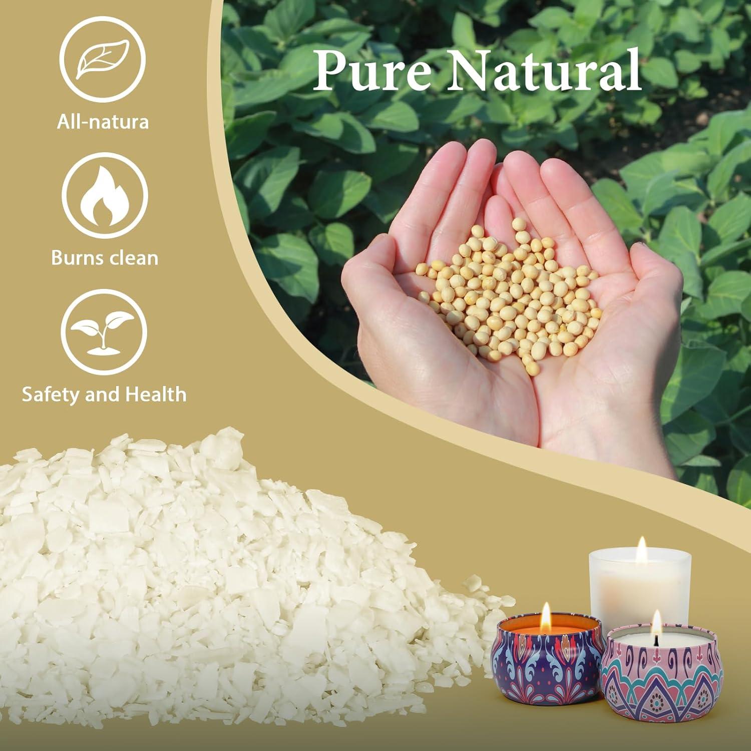 Cera de Soja 0.91 kg SACATR para Fabricación de Velas DIY