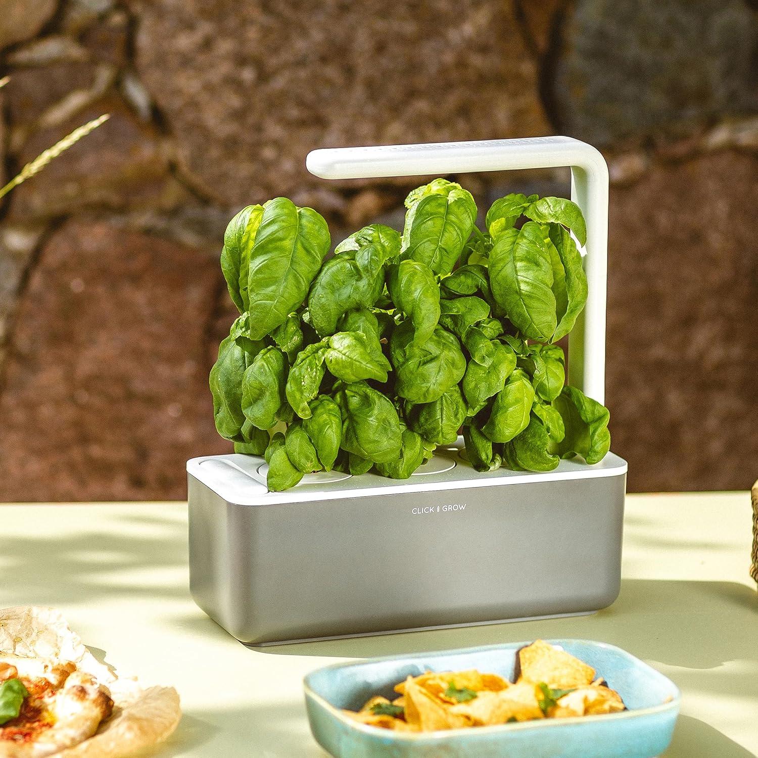 Pods de Albahaca Click and Grow 3-Pack - Jardín Inteligente