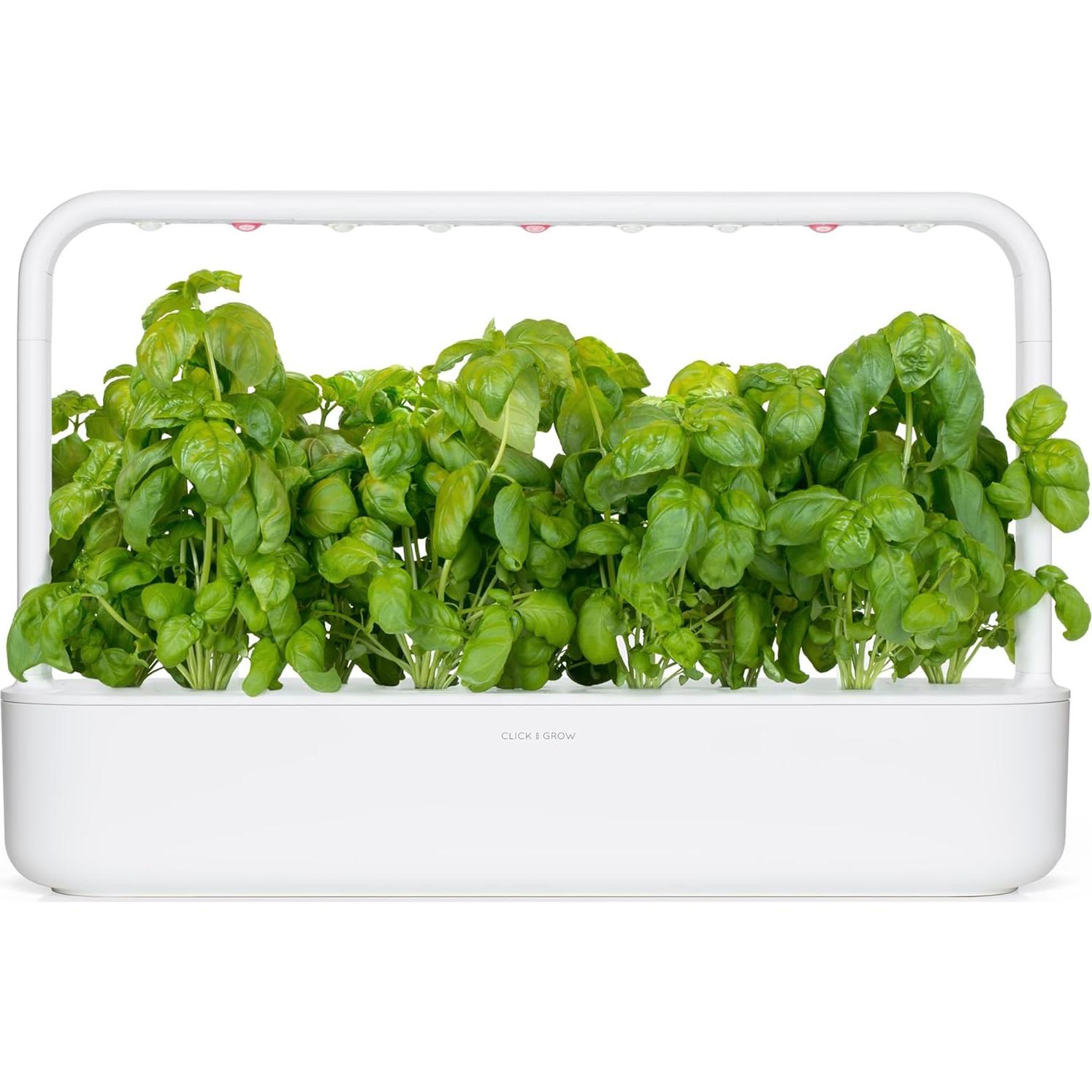 Pods de Albahaca Click and Grow 3-Pack - Jardín Inteligente