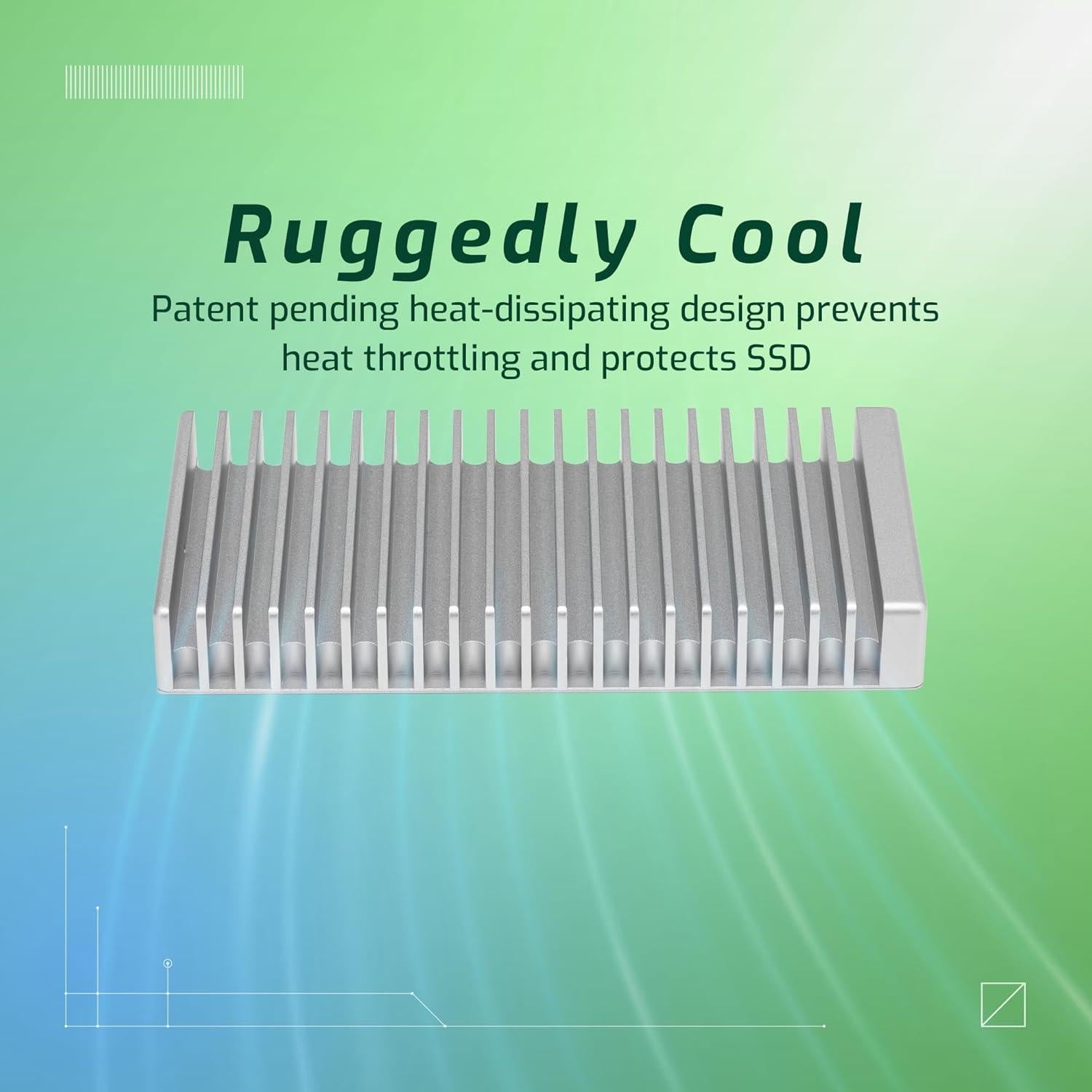 OWC Express 1M2 SSD NVMe Portátil USB4 40Gb/s Aluminio