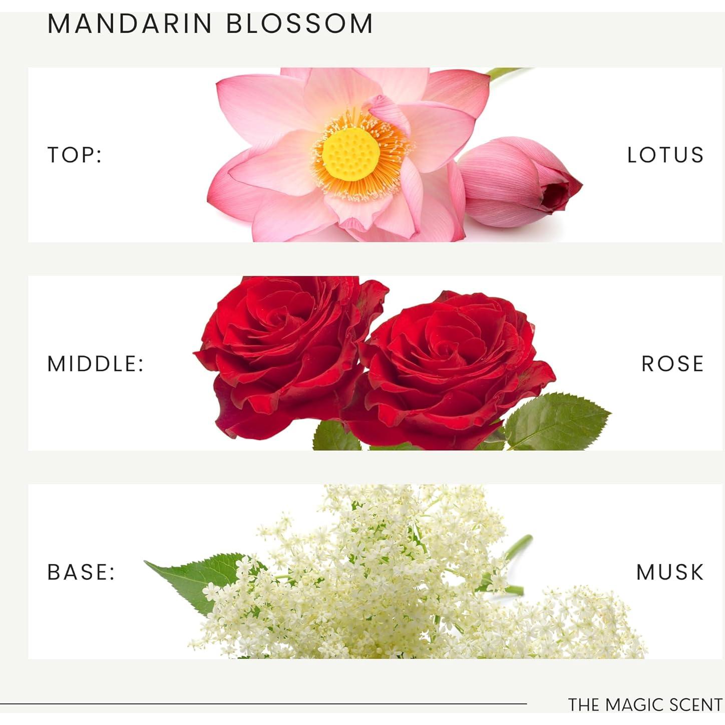 Aceite Difusor Flor de Mandarina The Magic Scent 500 mL