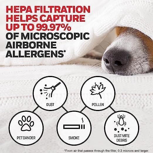 Filtro de Aire HEPA G Honeywell - Paquete de 2 Filtros para Purificadores