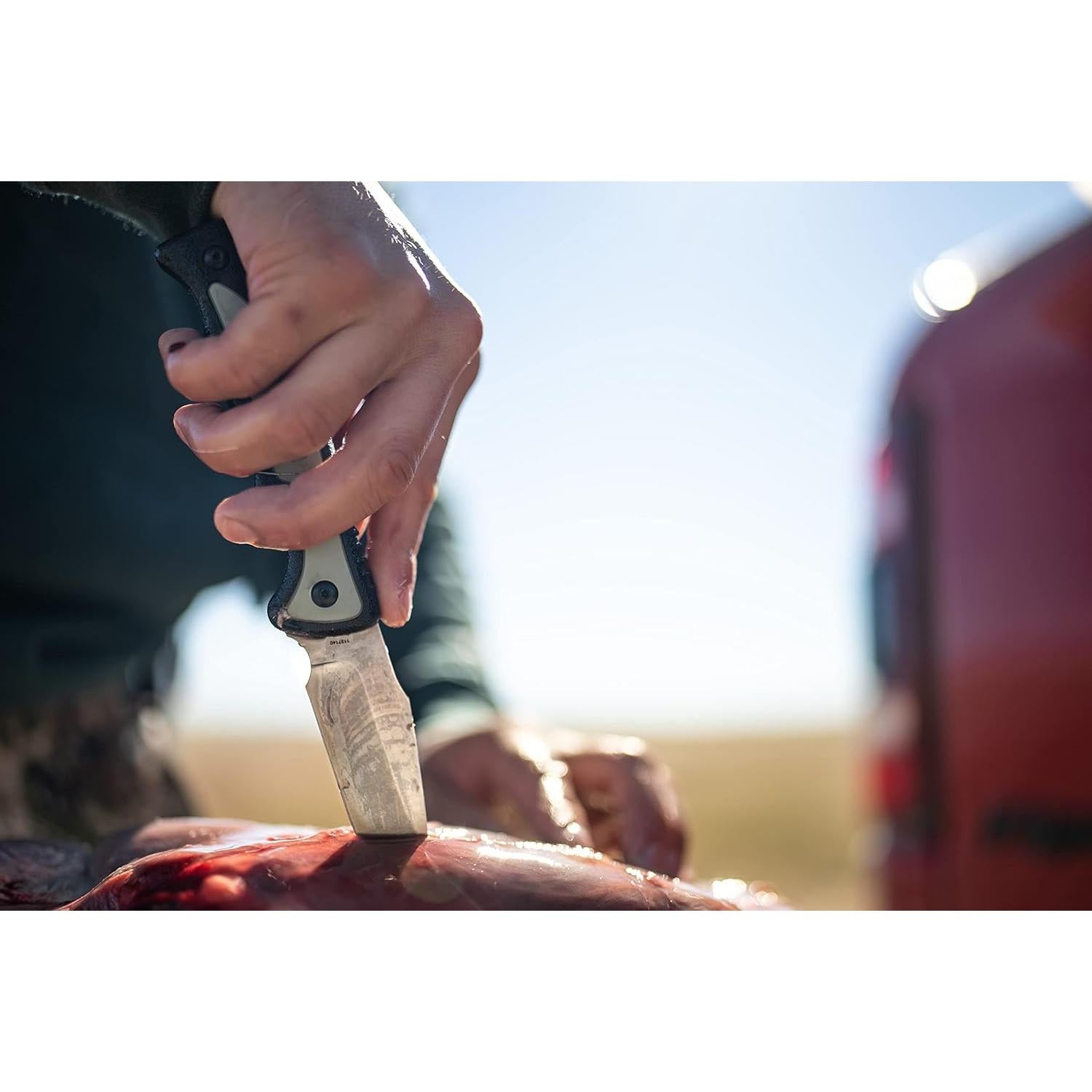Cuchillo de Caparazón Old Timer SOON 22.86 cm Acero Inoxidable