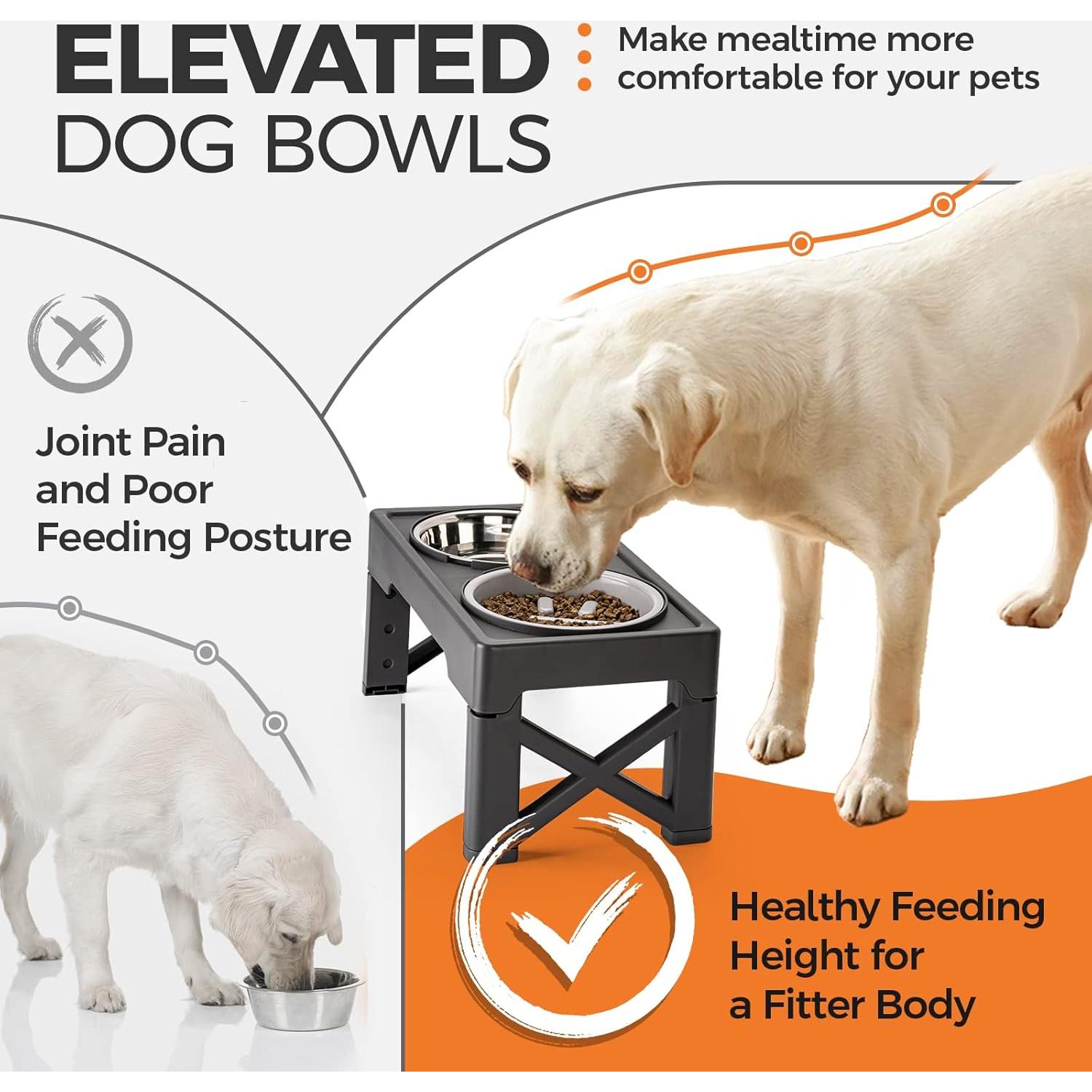 Cuencos Elevados para Perros Ciconira 4 Alturas Ajustables