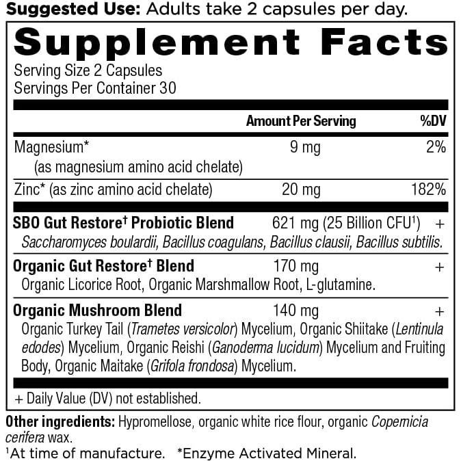 Probioticos SBO Nutrición Antigua 60 Cápsulas Salud Intestinal