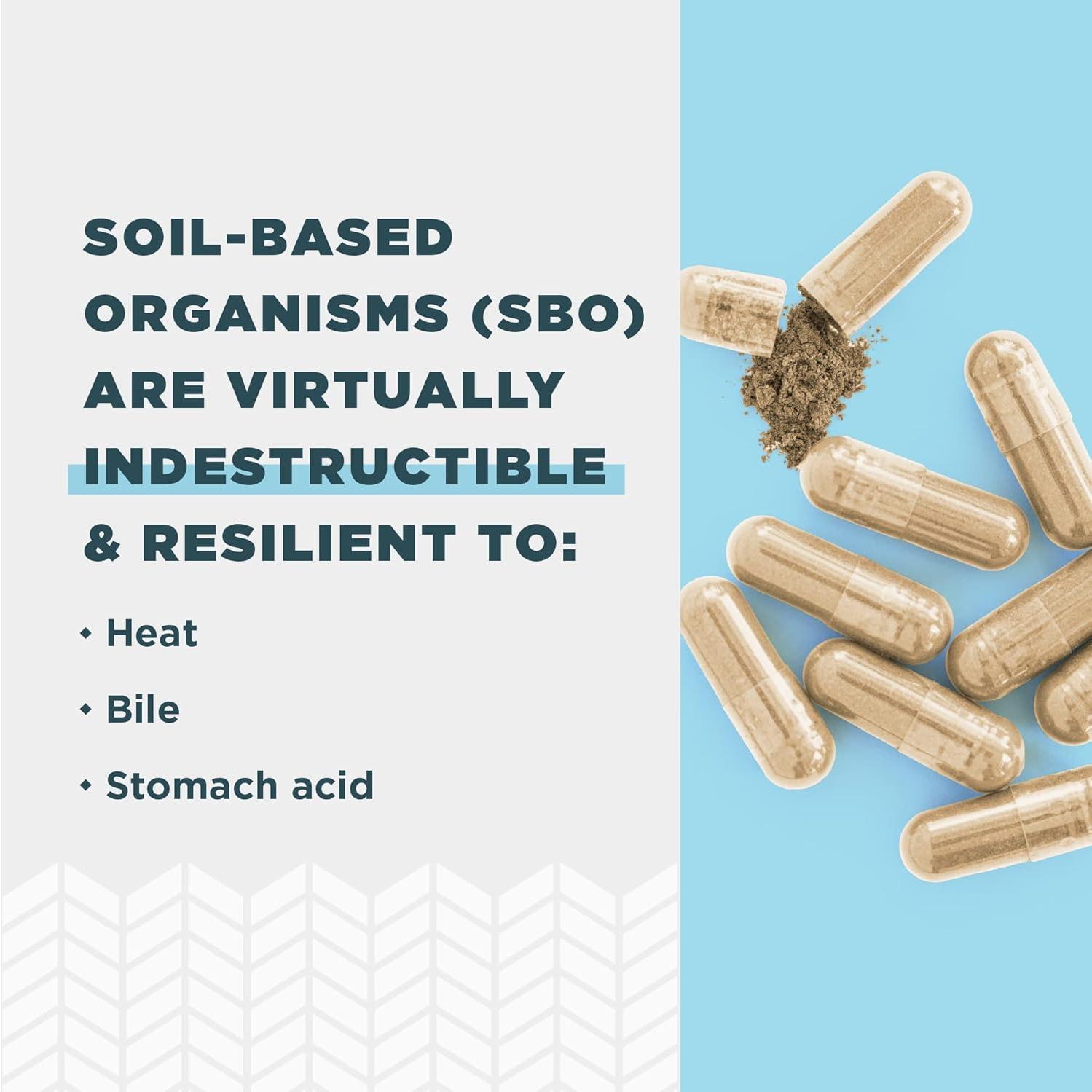 Probioticos SBO Nutrición Antigua 60 Cápsulas Salud Intestinal