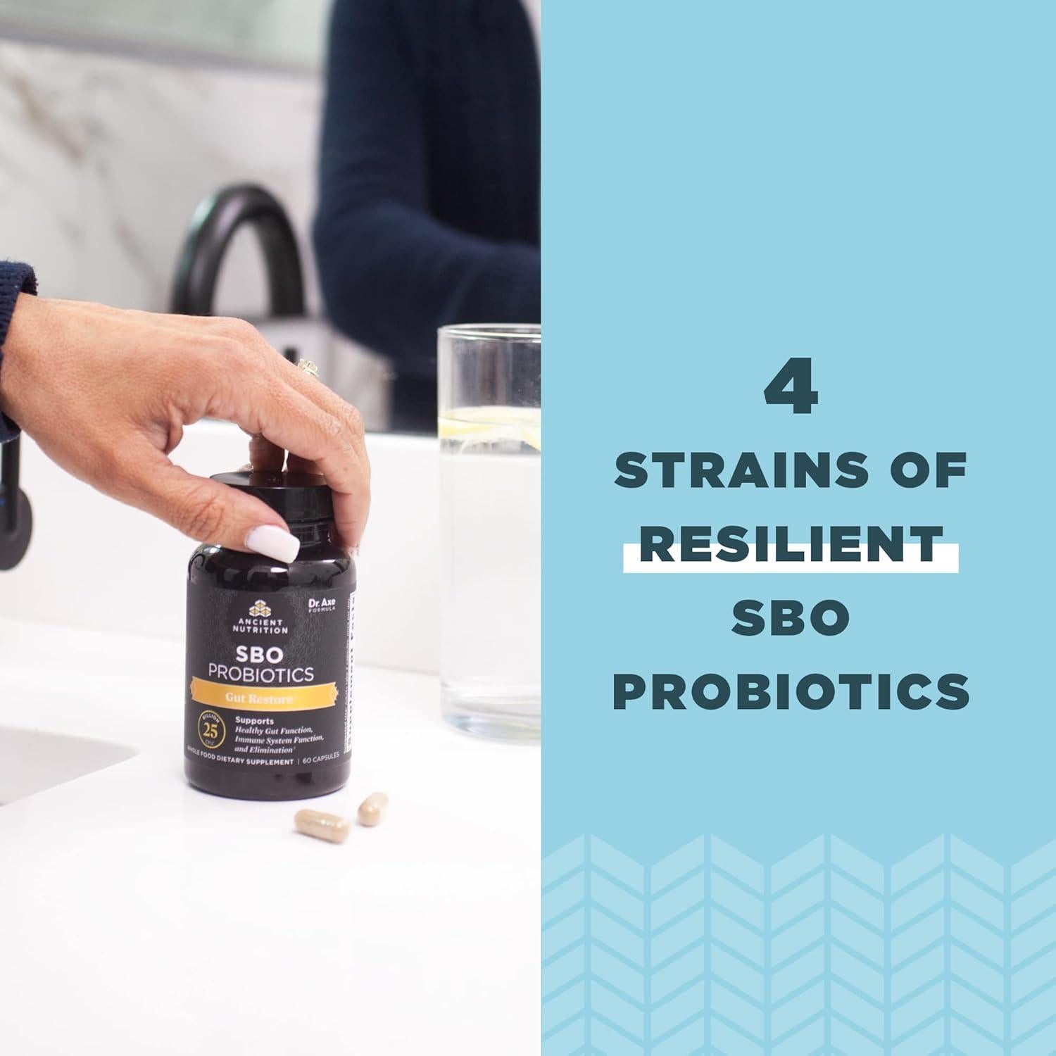 Probioticos SBO Nutrición Antigua 60 Cápsulas Salud Intestinal