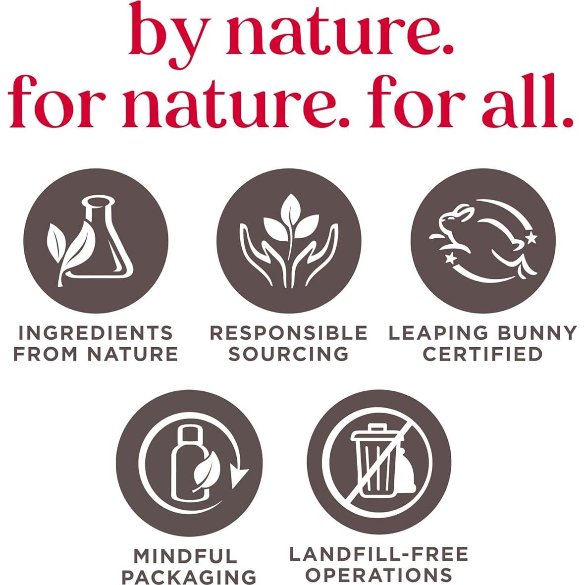 Set de Cuidado Labial y Cutículas Burt's Bees - 4 Sabores