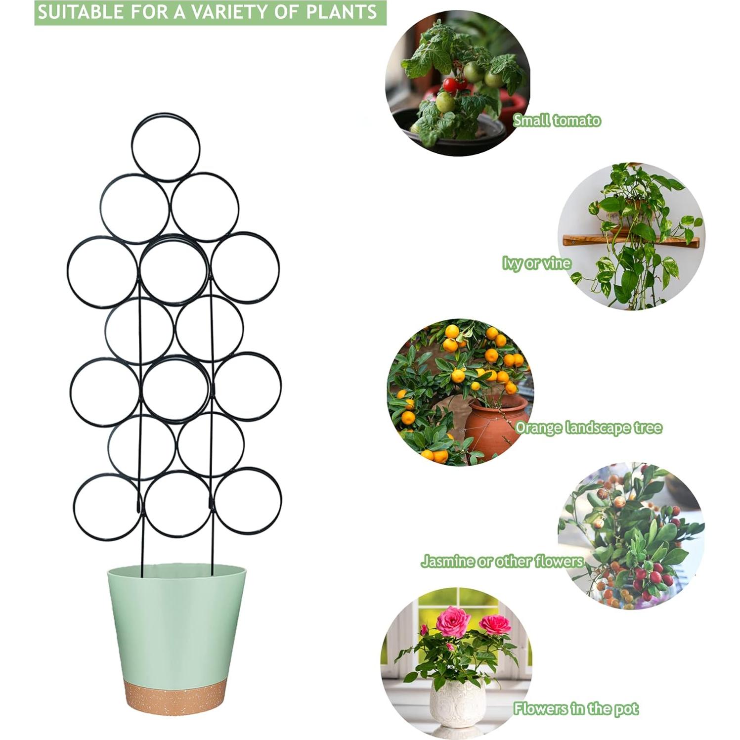 Trellis para Plantas LONCHDAN 40 cm Soporte Jardín 3 Piezas