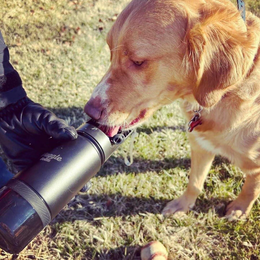 Botella de Agua para Perros Waggle 414ml Acero Inoxidable