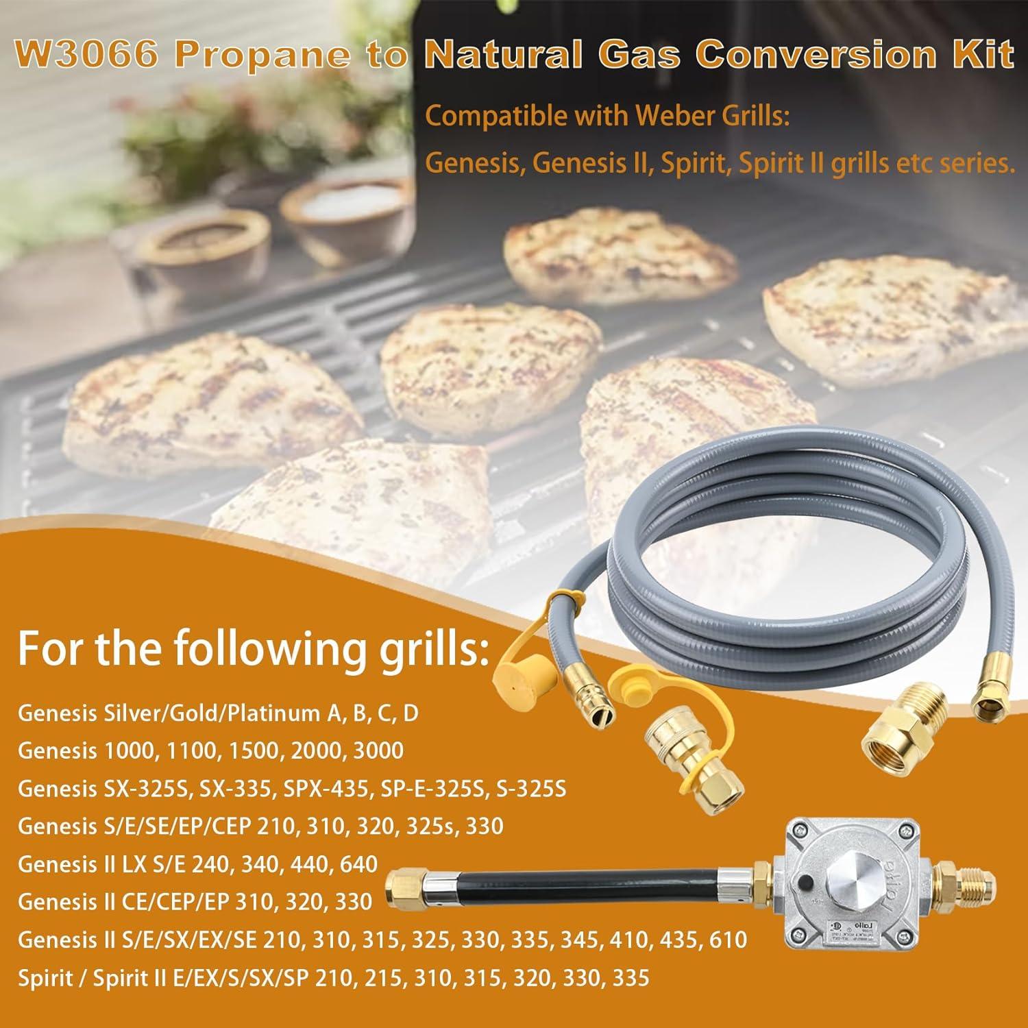 Kit de Conversión de Propano a Gas Natural Garsoo 10FT