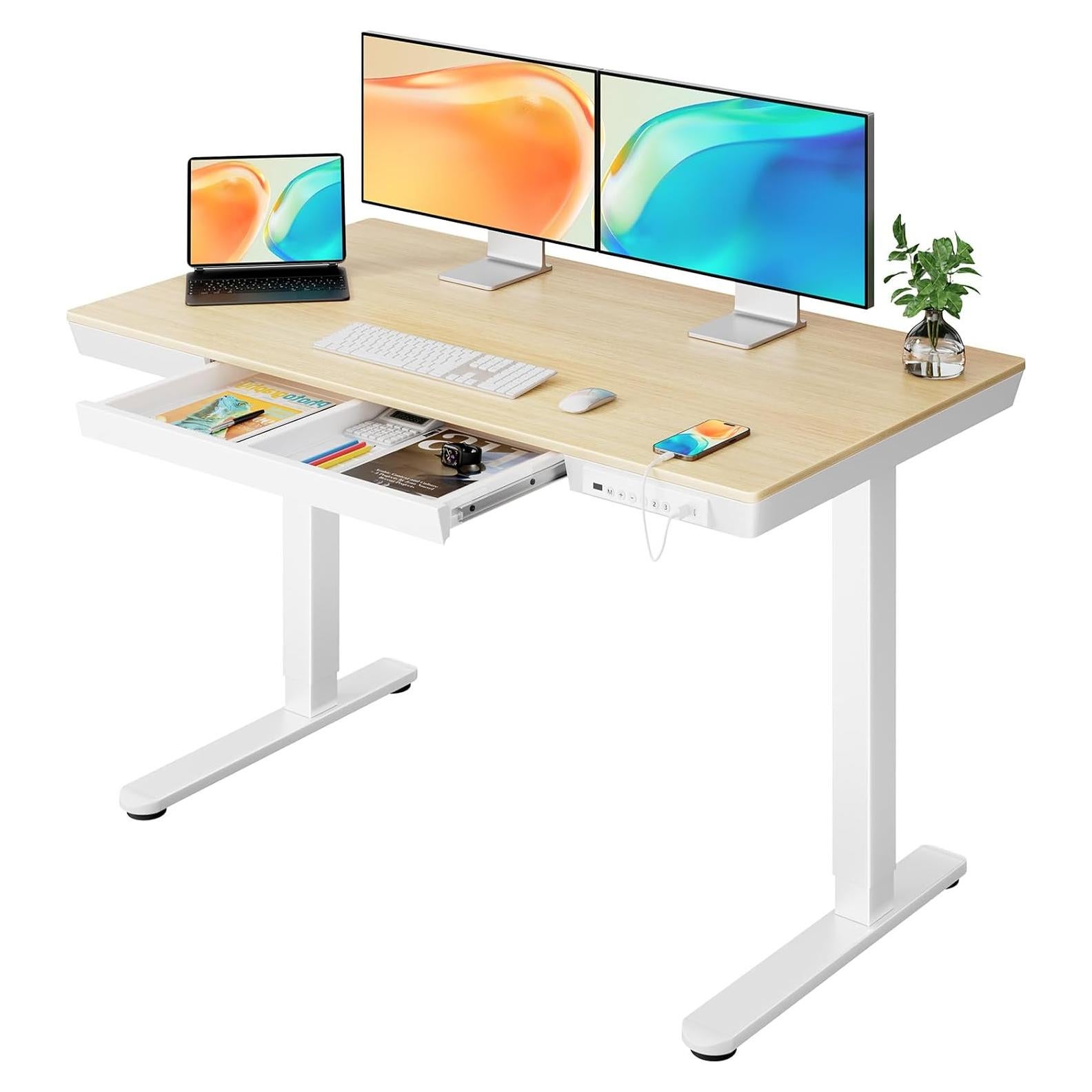 ErGear Electric Standing Desk with Drawers & USB Charging Ports, 48 x 24 Wood Height Adjustable Desk Whole Piece Home Office Computer Desk, Natural