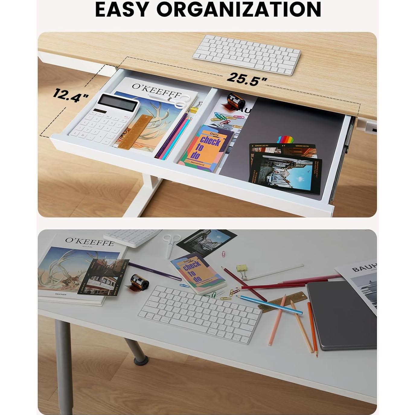 ErGear Electric Standing Desk with Drawers & USB Charging Ports, 48 x 24 Wood Height Adjustable Desk Whole Piece Home Office Computer Desk, Natural