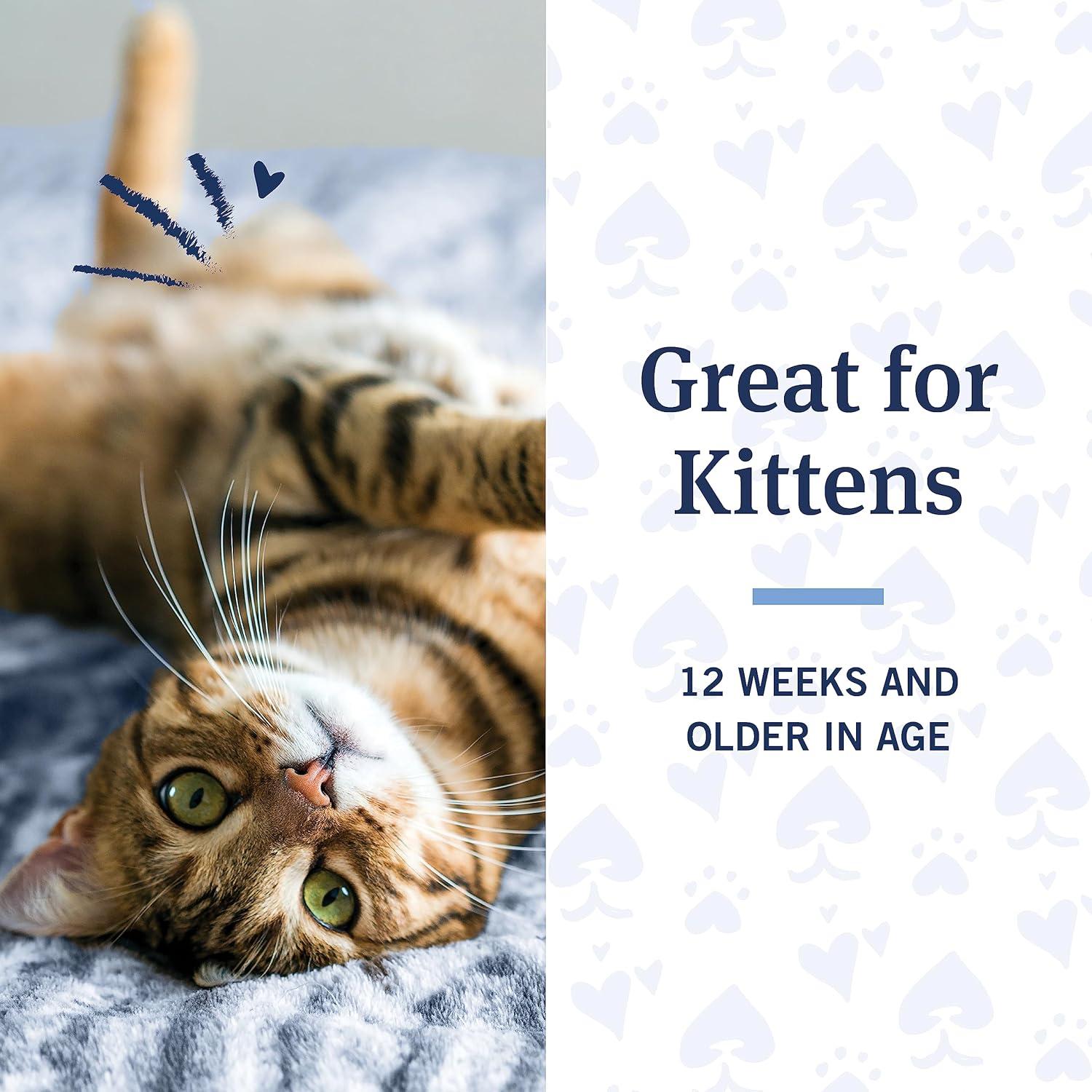 Champú PetArmor Plus para Gatos 354.88 ml - Control Pulgas y Garrapatas