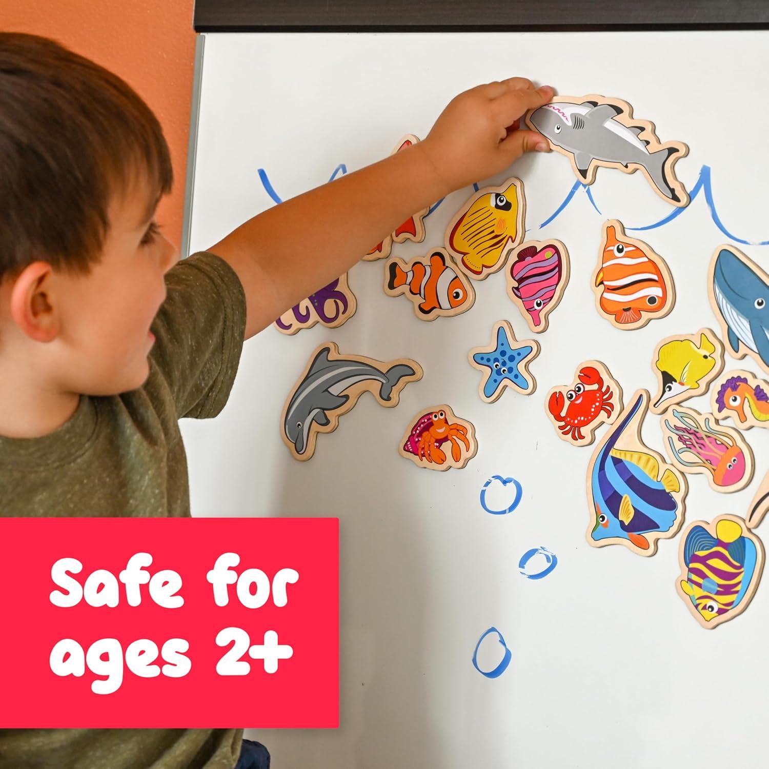 Imanes de Madera SPARK & WOW Vida Marina - 20 Piezas para Niños