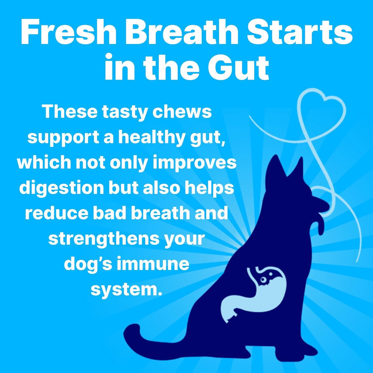 Golosinas Dentales Naturales para Perros Pup Labs 30 Unidades