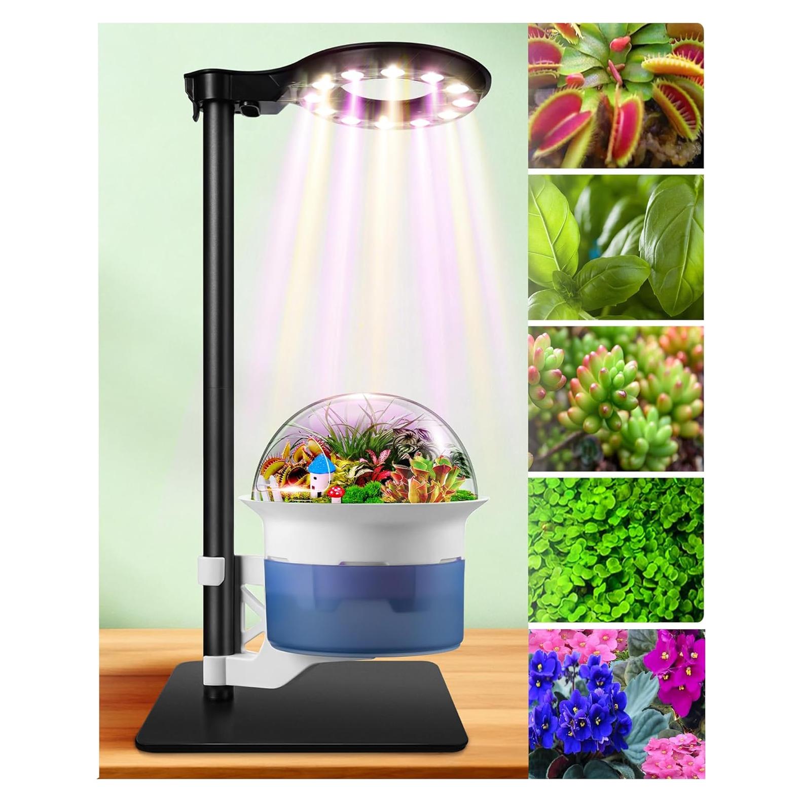 Kit de Terrario E SUPEREGROW con Luz de Crecimiento y Autorriego