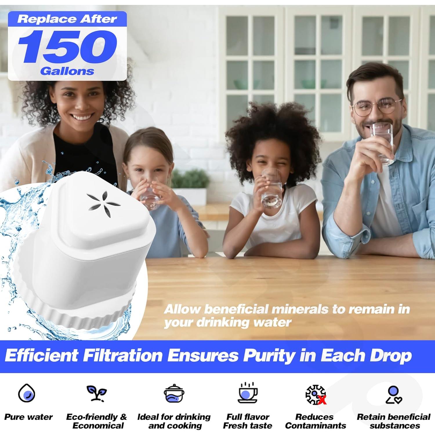 Filtro de Reemplazo OemRep para Jarra de Agua Epic 1 Paquete