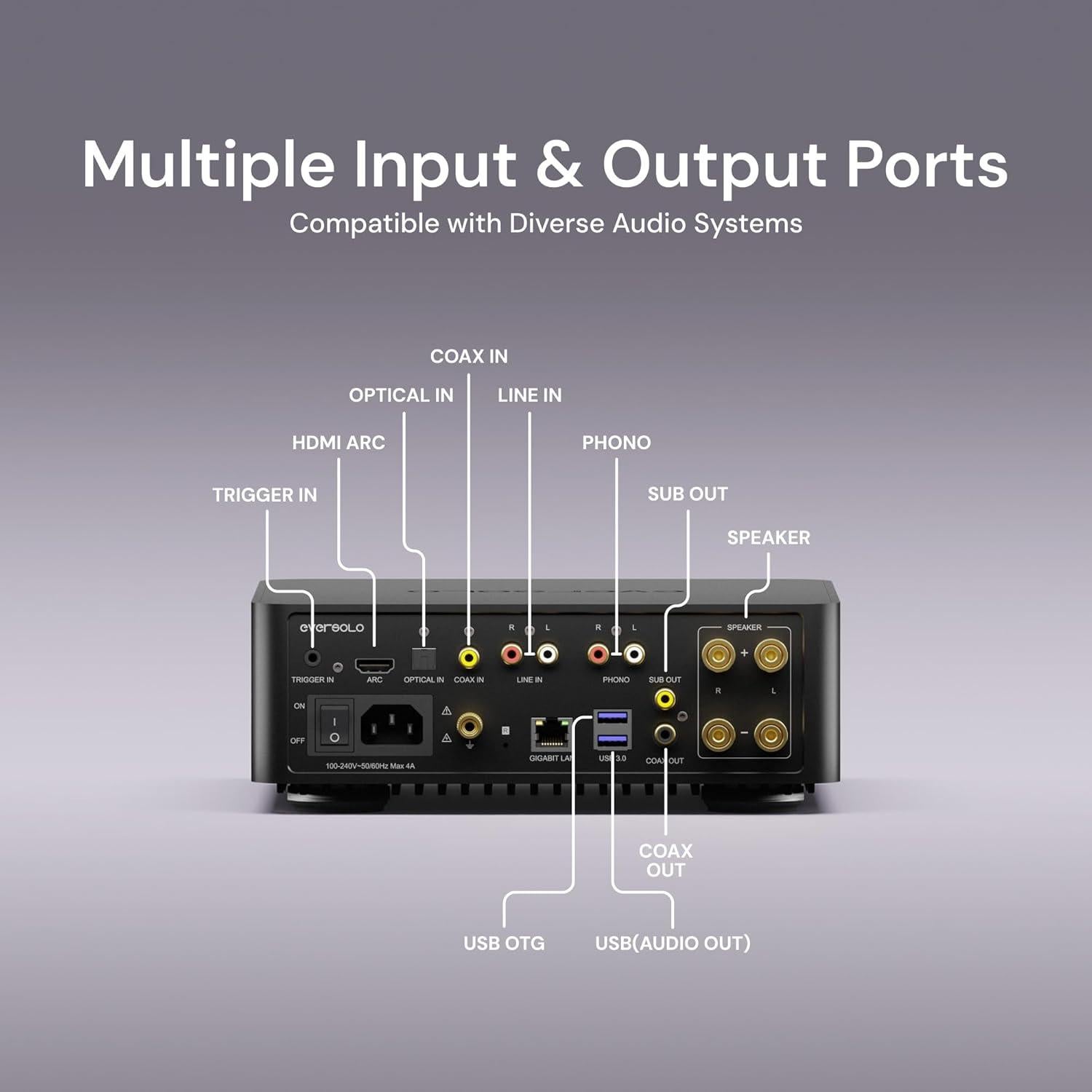 Reproductor de Música Eversolo Play CD 110W Amplificador HiFi