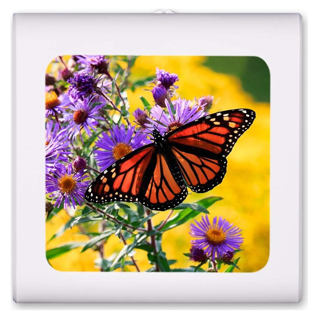 Luz Nocturna LED Art Plates Mariposa Regulable 0.5W