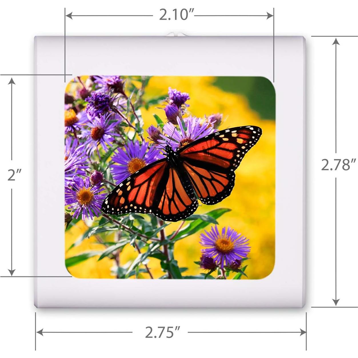 Luz Nocturna LED Art Plates Mariposa Regulable 0.5W