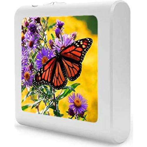 Luz Nocturna LED Art Plates Mariposa Regulable 0.5W
