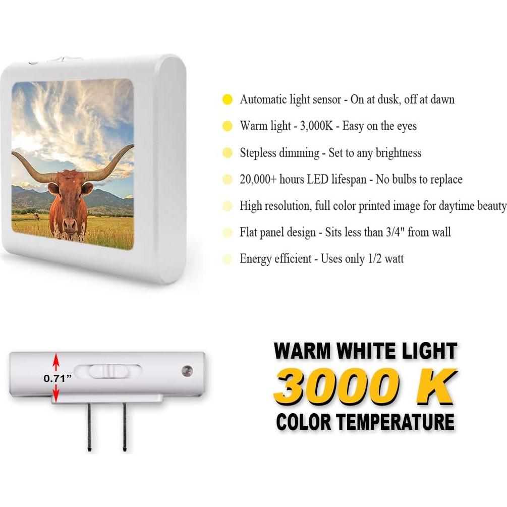 Luz Nocturna LED Regulable Art Plates con Sensor Automático