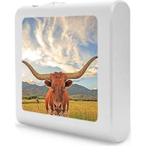 Luz Nocturna LED Regulable Art Plates con Sensor Automático