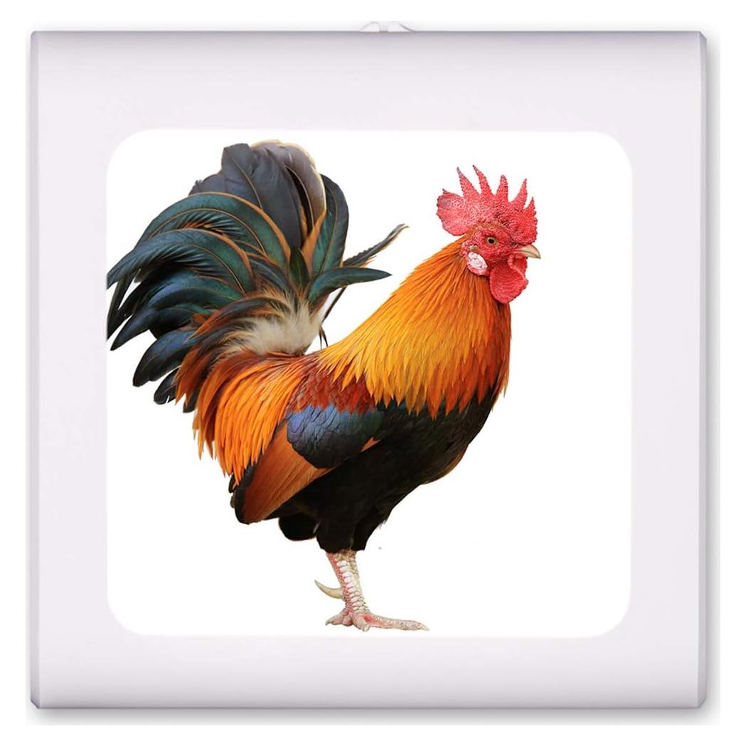 Luz Nocturna LED Art Plates con Sensor Automático y Brillo Ajustable