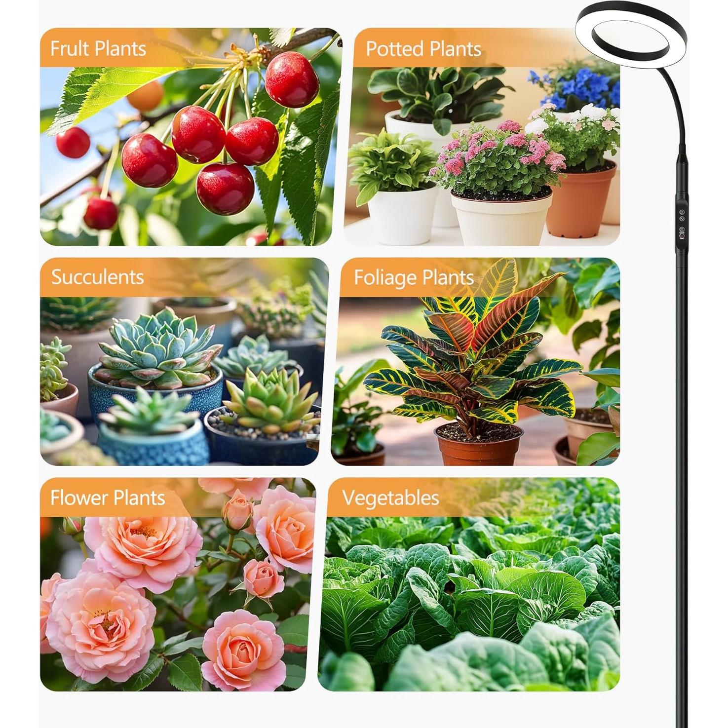 Luz de Cultivo LED 20W Vsoke Espectro Completo Altura Ajustable