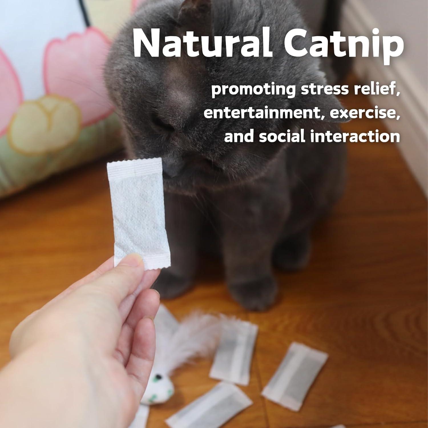 Paquete de 12 Bolsitas de Hierba Gatera CECE PAW - Natural