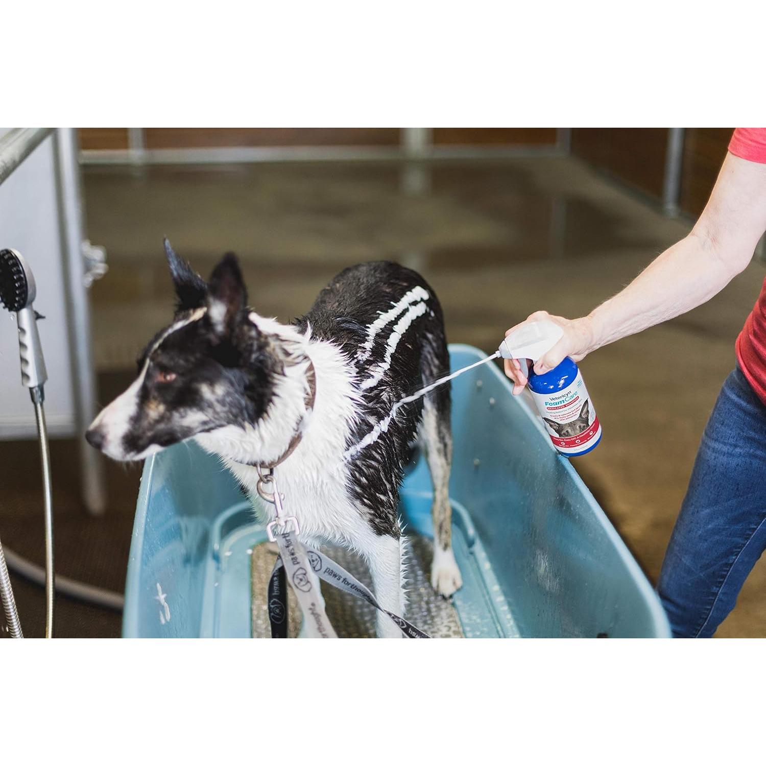 Champú Medicado Vetericyn FoamCare 473ml para Perros y Gatos